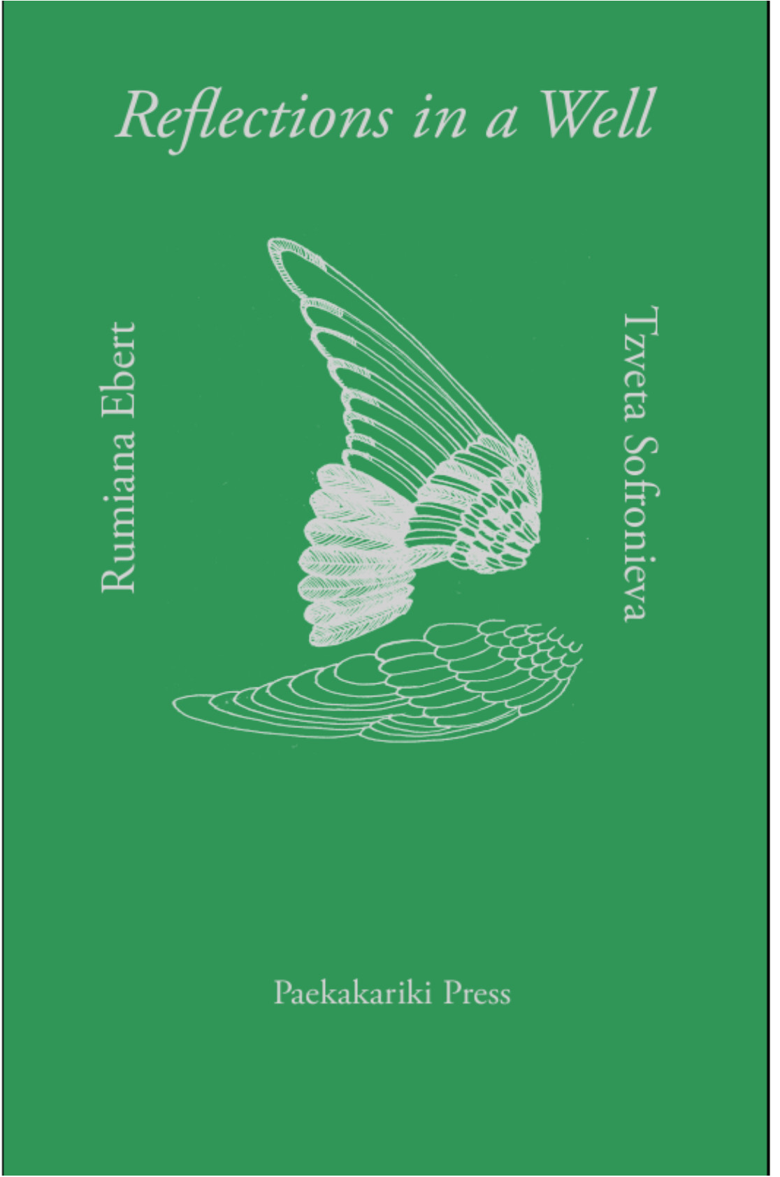 Cover of Reflections in a Well